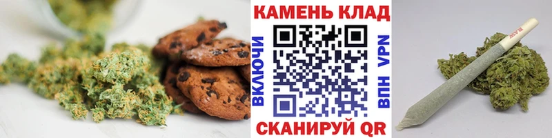 продажа наркотиков  Сланцы  omg ONION  даркнет телеграм  Canna-Cookies конопля 