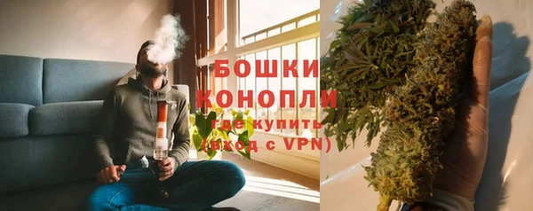 PSILOCYBIN Богданович