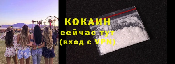 PSILOCYBIN Богданович