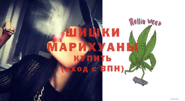PSILOCYBIN Богданович