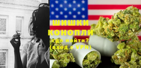 PSILOCYBIN Богданович