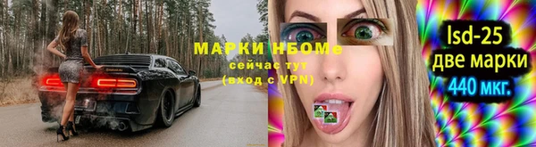 PSILOCYBIN Богданович