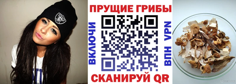 это формула  mega ТОР  Галлюциногенные грибы Psilocybine cubensis  Сланцы  купить наркотик 