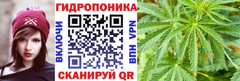 купить   kraken как зайти  Канабис сатива  Сланцы 